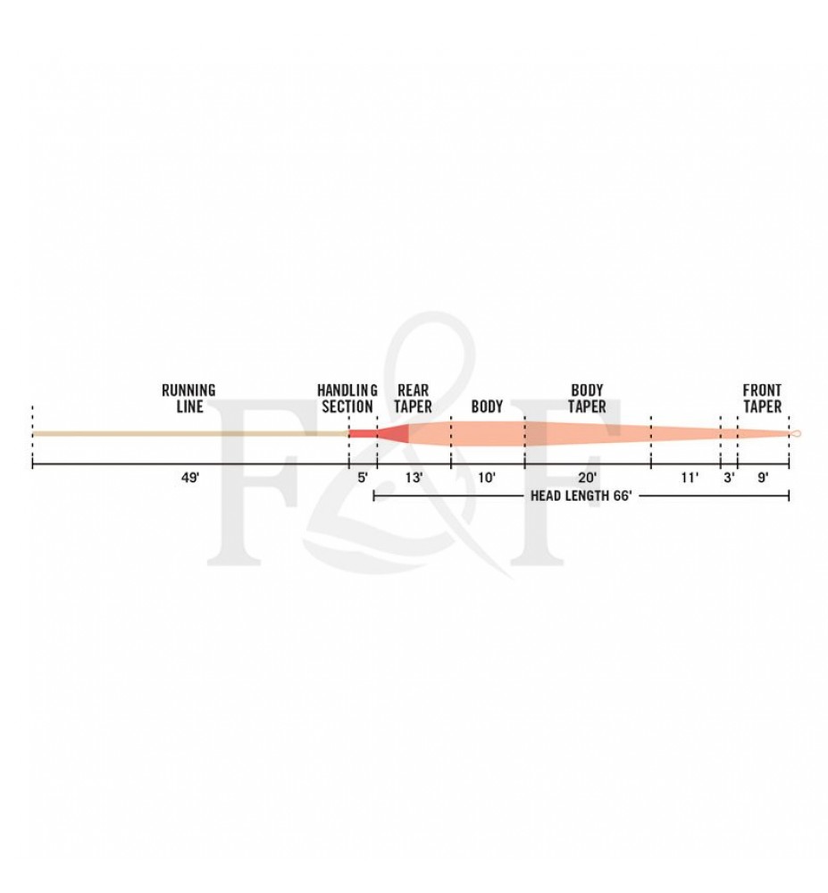 Rio Long Head Spey 9/10F 765gr In Touch - LHS | Fly fishing equipment
